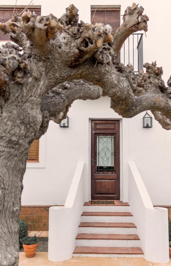 Rebesnets De Bofranch Villa Deltebre Kültér fotó